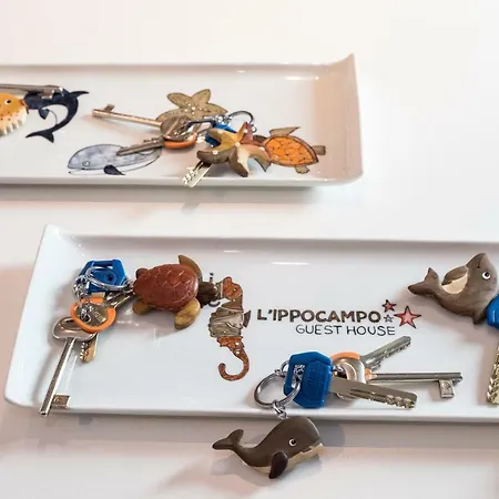 L'ippocampo * Sabaudia
